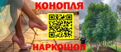 jwh Сланцы