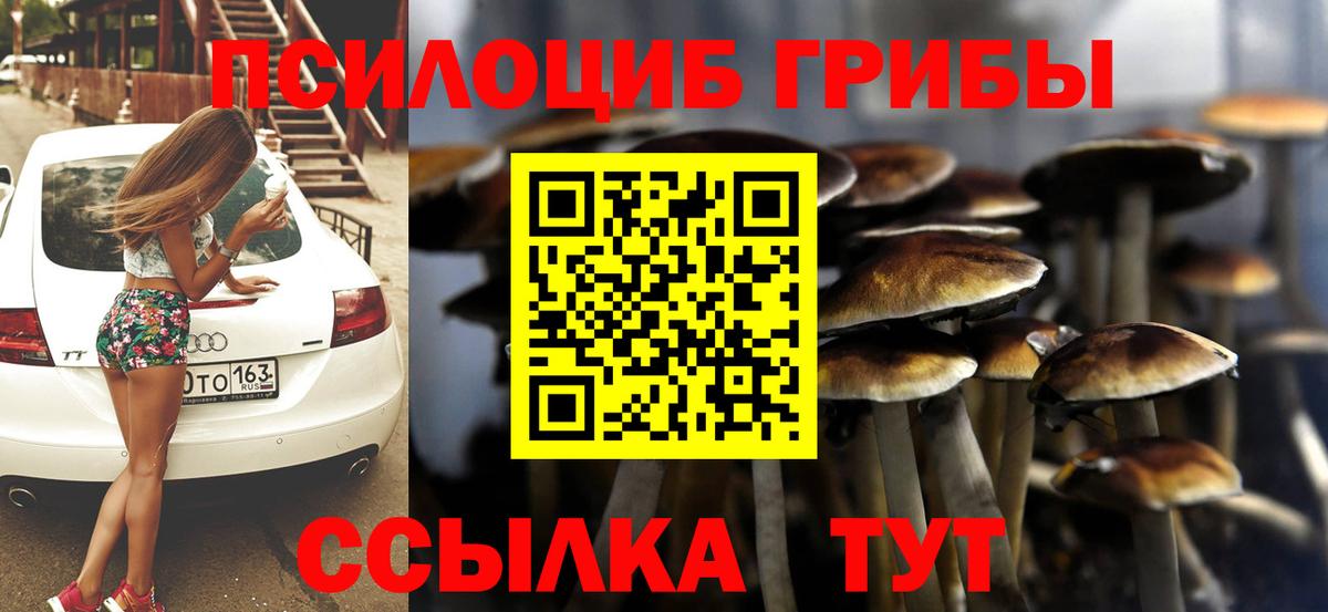 Мичуринск  Псилоцибиновые грибы прущие грибы  Псилоцибиновые грибы ЛСД  Вход с VPN 