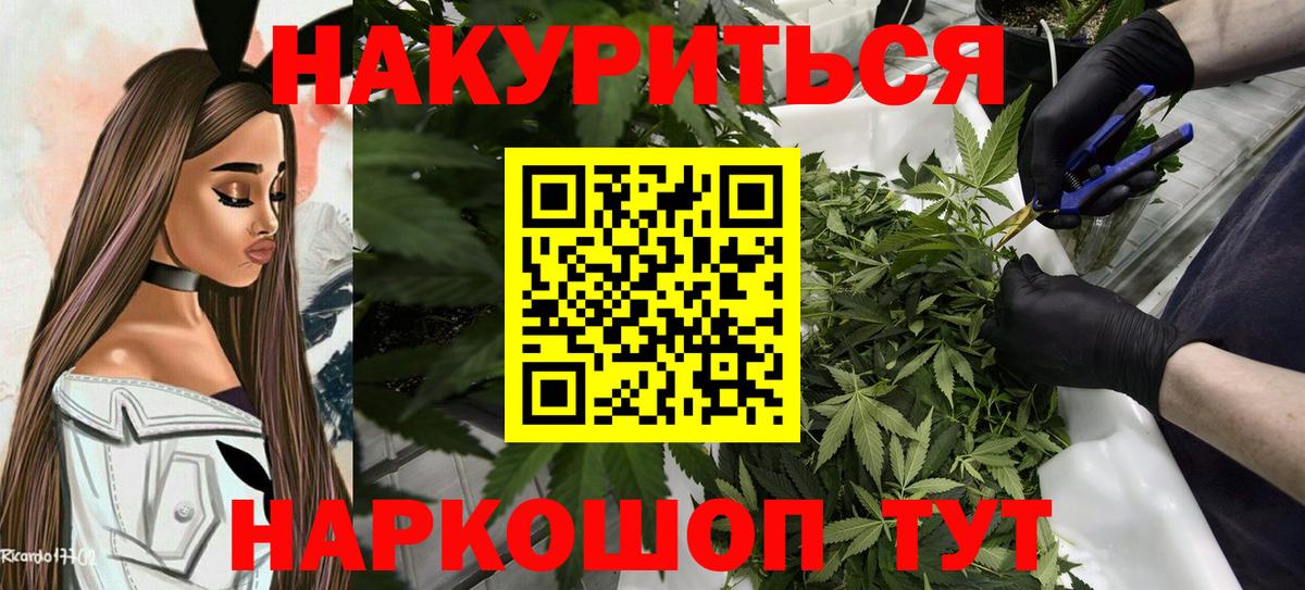 Марихуана ГИДРОПОН  Вход с VPN  Мичуринск  Конопля Amnesia  Бошки марихуана White Widow  Бошки Шишки конопля 